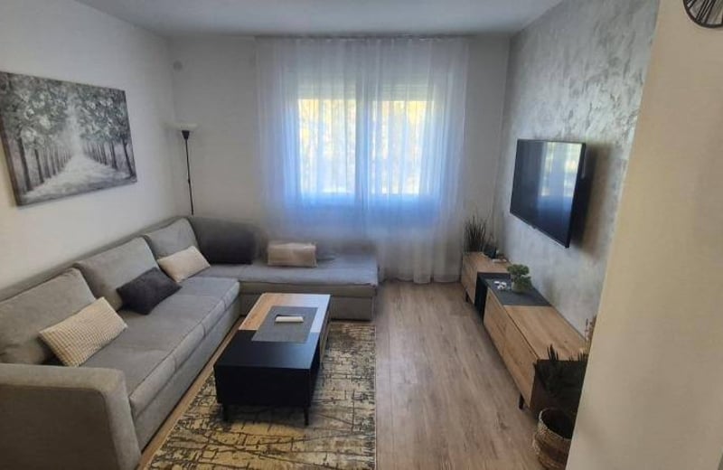 Rent of a cozy 2-room apartment, 50 m², Voždovac district, Belgrade, Serbia